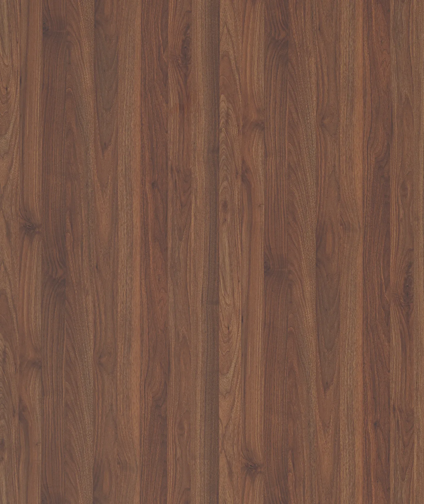 Çamsan Ordu Latin Ceviz MDFLAM